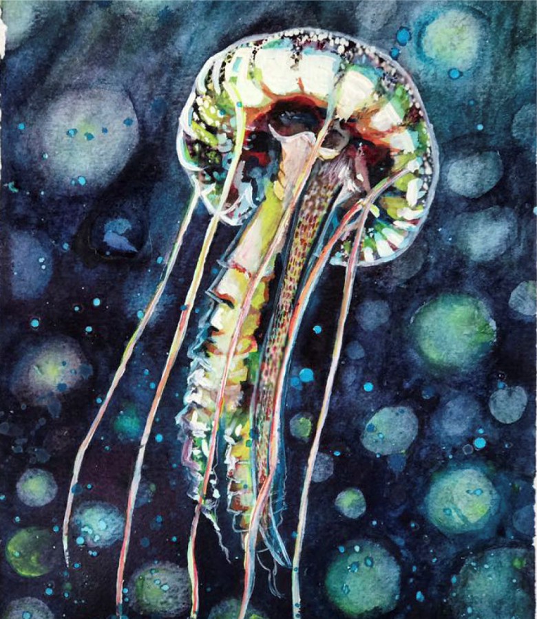 Азбука Медуза
