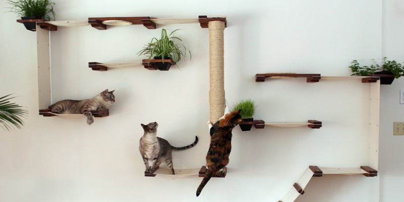 Самое лучшее для кошки, для кота и для котенка – игровые комплексы и лазалки ВдомеКот !