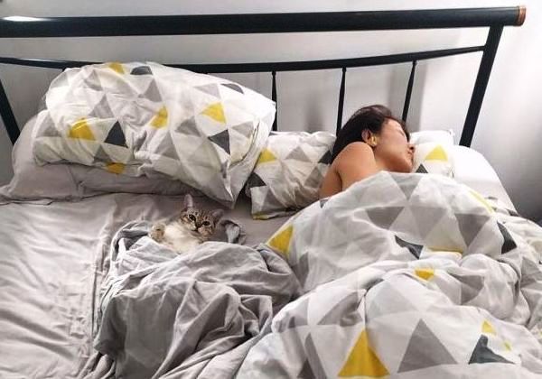 Спящие кот и человек