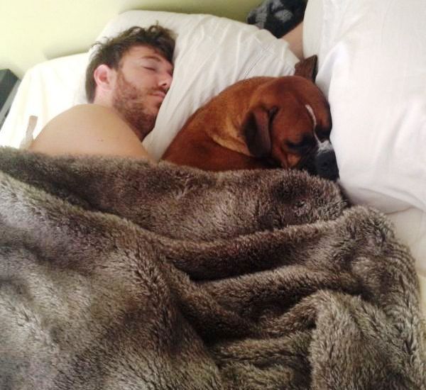 Спящие собака и человек