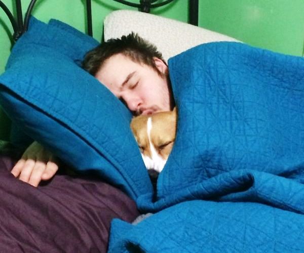 Спящие собака и человек